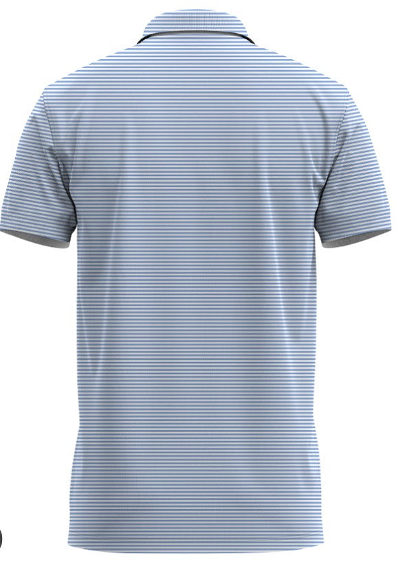 Classic Blue and White Striped Polo