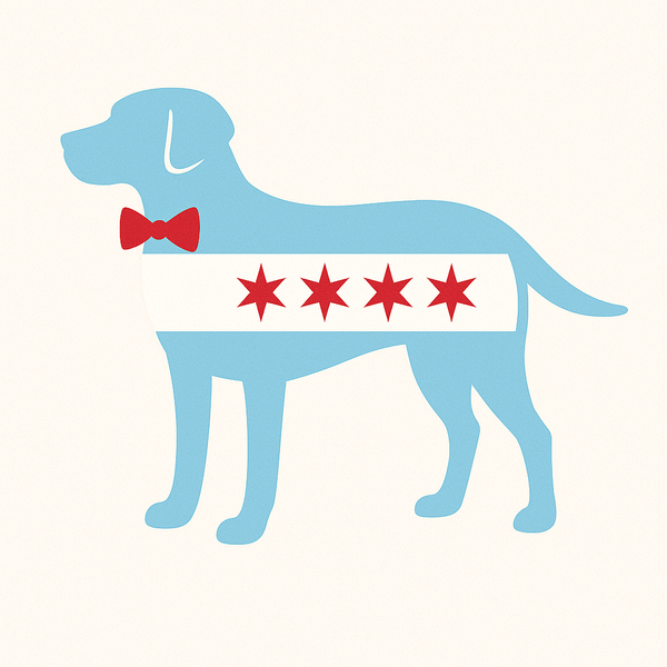 The Chicago Dog Hoodie