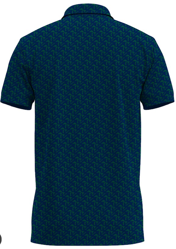 The Great Lakes Polo