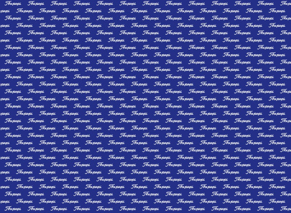 The Papi Classic Navy Blue Polo
